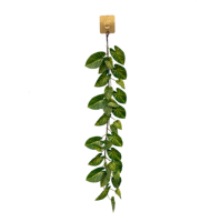 Plante artificielle suspendue de 80 cm, fausse plante grimpante verte pour mur, balcon, café, bureau, décoration intérieure