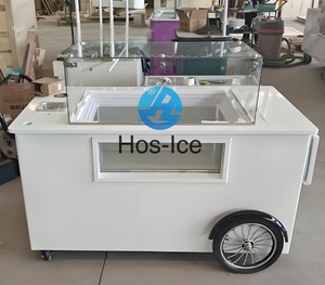 Commercial Hand Push Freezer <strong>Cart</strong> Ice Cream <strong>Food</strong> Shop Street <strong>Food</strong> <strong>Cart</strong> for <strong>Indoor</strong>/Outdoor Use - Product Image 4