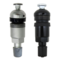 Valve de réparation TPMS noire standard RDKS