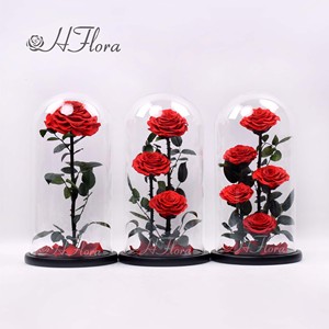 Personalizado Día de San Valentín Regalo romántico Decoración Rosa preservada en cúpula de cristal 3 Gran Príncipe Ramo de flores eternas - Product Image 1