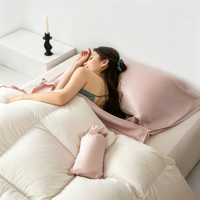 Nouvel Arrivage Doublure de Sac de Couchage Hôtelier 100% Soie de Mûrier Anti-Salissure pour Voyage Personnalisable Toutes Saisons Respirant Coupe-Vent OEM