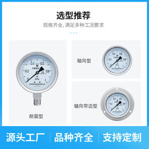 Manomètre en acier inoxydable Suzhou XuanSheng YBF100H316L 100 mm Précision 1,6 Connexion filetée Matériau 316L - Product Image 4