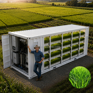 Containerized Hydroponic Fodder System for Livestock Feed Barley <strong>Grass</strong> Growing Farm Equipment - Product Image 6