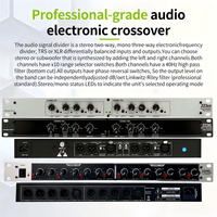 Égaliseur de signal professionnel pour système audio de scène, processeur mono/stéréo 2/3 voies, distributeur de signal pour performance DJ