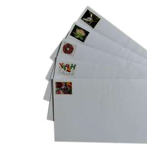 Variedade de estilos, cenas de inverno/amor/tulipa Flores/corações/frutas e legumes, 100 Selos Envelopes - Product Image 2