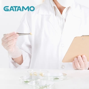 Bsv001 gatamo làm việc hóa chất phòng sạch nhà bếp cấp thực phẩm chung rõ ràng găng tay PVC thi dùng một lần bột miễn phí găng tay Vinyl - Product Image 5