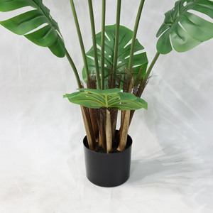 <span class=keywords><strong>Plante</strong></span> artificielle verte très réaliste, grande et <span class=keywords><strong>tendance</strong></span>, de type Canna à épines, pour la décoration de salon, de fenêtre et d'intérieur - Product Image 6