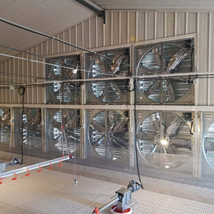 PH Factory's New Automatic Poultry Farm Equipment Broiler Floor Feeding Chicken Raise Machinery - Product Image 3