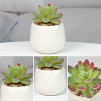 Pot en céramique blanche, plantes succulentes artificielles en plastique, mini paysage de table, décorations pour la maison et le balcon
