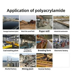 Poliacrilamida <span class=keywords><strong>PAM</strong></span> Aniónica/Catiónica No Iónica, Floculante Blanco, Espesante para Limpieza de Arena y Carbón, Deshidratación de Lodos y Sedimentos - Product Image 3