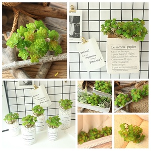 De plantas suculentas plantas artificiales <span class=keywords><strong>Cactus</strong></span> de plástico de la flor para la decoración del hogar - Product Image 5