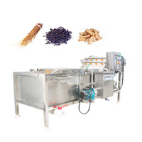 China fabrieks prijs fruit- en groentewasmachine, 304 roestvrij staal, bubbelwasmachine