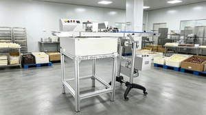Machine à enrober le chocolat à prix d'usine / Machine à enrober les surfaces des aliments et des snacks au chocolat - Product Image 5