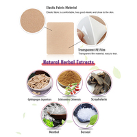 Patch personnalisé jetable transdermique à base de plantes menthol pour le soulagement de la ménopause Patch de flash chaud pour les femmes période d'approvisionnement en soins de santé