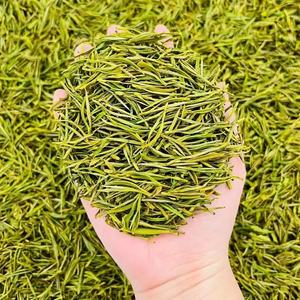 Huo Shan <span class=keywords><strong>Huang</strong></span> <span class=keywords><strong>Ya</strong></span> buds ชาธรรมชาติก้านเดี่ยวสีเหลือง Junshan ก้านเข็มชาเงิน - Product Image 1