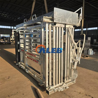 Machine mobile de haute qualité pour la coupe des sabots de bétail, avec étrier hydraulique galvanisé à chaud