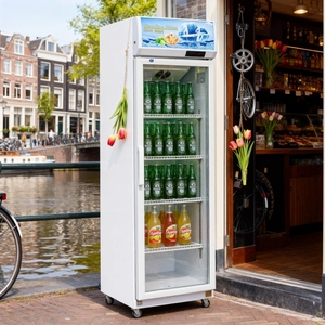 Congélateur vertical commercial avec contrôle mécanique de la température, porte vitrée, étagères réglables, refroidissement direct et par air - Product Image 2