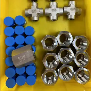 Ultra High Pressure 10000psi 1/2 Female Cross 1 inch Female Nipple Threaded Pipe Fittings 6000psi Hex Socket Plug