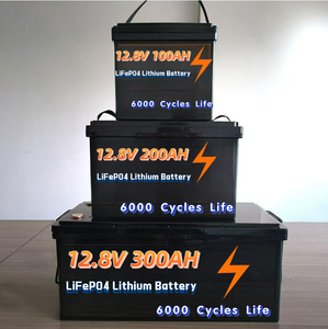 <span class=keywords><strong>LiFePo4</strong></span> 12v 24v 100ah 200ah 300ah 리튬 이온 배터리 팩 에너지 저장 - Product Image 1