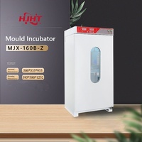 Stable Microbial Cultivation Environment Uniform Temperature, High Efficiency Laboratory Mold Incubator