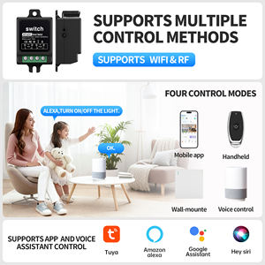 מתג שלט רחוק 110V מתג חכם WiFi 433MHz מתג שלט רחוק 10A מתג בית חכם גרפיטי ממסר תאורה חכמה - Product Image 3