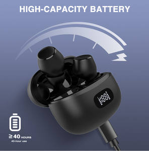 เครื่องช่วยฟังดิจิตอลแบบมืออาชีพ ITE ขนาดเล็ก ชาร์จได้ 16 ช่องสัญญาณ สำหรับผู้สูงอายุ-รุ่น Rosa Rugosa G102D - Product Image 4