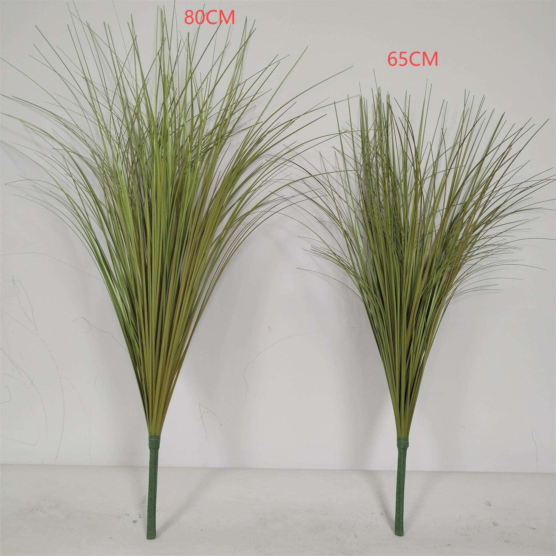 Pure grass beam autumn green