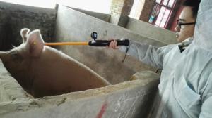 134.2kHz Çubuk Şeklinde <span class=keywords><strong>RFID</strong></span> Hayvan Etiketi Okuyucu ABS Malzeme Evcil Hayvan Mikroçip Tarayıcı DV Fotoğraf Konuşma Fonksiyonu 16GB Bellek için - Product Image 4