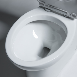 Bravat Dụng Cụ Vệ Sinh Cao Cấp Tủ Nước Xả Kép Bồn Vệ Sinh Một Mảnh Bằng Gốm Trắng Phòng Tắm Wc - Product Image 6