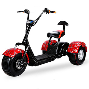 Scooter Eléctrico de <span class=keywords><strong>Tres</strong></span> <span class=keywords><strong>Ruedas</strong></span> y Dos Asientos, 1500w, <span class=keywords><strong>Citycoco</strong></span>, con Certificación CE - Product Image 6