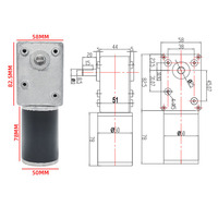 Moteur à engrenage à vis sans fin à aimant permanent 24 V CC, 50 tr/min, couple élevé, pour volet roulant, avec frein intégré dans la boîte de vitesses