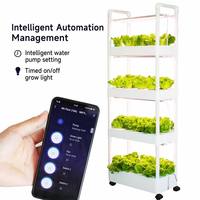 Système hydroponique vertical automatique à 4 niveaux pour la culture à domicile et en jardin, jardinière intelligente avec minuterie, lumières, boule de Lecca, testeur de nutriments