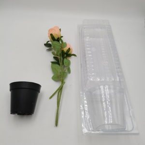 Hộp nhựa PVC dạng vỏ sò đựng cây giống sống, trong suốt, dùng để vận chuyển - Product Image 5