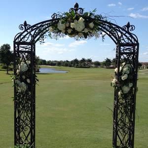Pergola en fer avec écran optionnel, artisanat, arche de jardin avec abri imperméable et clôture en métal enduit de poudre - Product Image 1