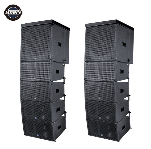 Tw Audio 12" Line Array Speakers System with Amplifier and DSP Software Processing TW-12