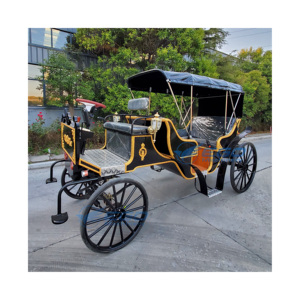 Carruajes Turísticos Victoria a Precio de Fábrica, Transporte Especial Eléctrico para Bodas, Carruajes Turísticos en Venta - Product Image 1