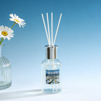 Diffuseur de parfum d'ambiance étoilé et rêveur, ensemble de diffuseur à bâtonnets d'huiles essentielles sans flamme pour aromathérapie, en bouteille de verre