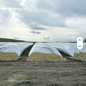 Sacs à ensilage 250 microns, directement de l'usine |   Sacs de silo en plastique anti-UV de 1,5 à 3,6 m, durée de vie de 18 <span class=keywords><strong>mois</strong></span> |   Meilleur prix pour le stockage du grain, de la paille et des aliments pour animaux - Product Image 6
