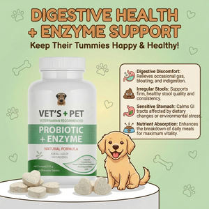プライベートブランドの犬用プロバイオティクスと消化酵素チュアブル錠、敏感な胃のためのペットの腸内健康サプリメント、ペットサポート - Product Image 1