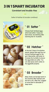 Новый автоматический мотор-противоточный для инкубатора на 16 яиц WONEGG для куриных и индюшачьих яиц, цена, инкубатор для птицы - Product Image 4