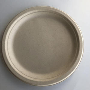 100% plaques de Bagasse blanches jetables et écologiques, en papier biodégradable de 9 pouces, 125 paquets - Product Image 5
