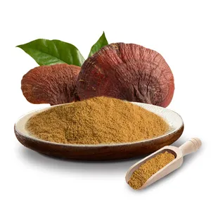 Orgánico 100% puro 10%, 20%, 30%, 40%, 50% polisacárido de Ganoderma Lucidum hongo Reishi de extracto de polvo de hongo