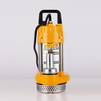 Pompa Air Tenaga Surya DC 200W 48V 60V 72V Tanpa Sikat 8m/h Bahan Stainless Steel Hemat Energi untuk Pertanian