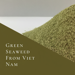 Poudre d'algues vertes de haute qualité-Mr.George + 84337279933 - Product Image 1