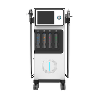 Appareil facial multifonctionnel à bulles d'oxygène avec pulvérisation d'eau pour une hydratation thérapeutique, destiné aux soins de beauté professionnels