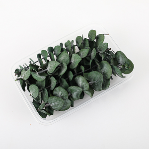 Dried Preserved <strong>Eucalyptus</strong> Leaves for Home Stem Photo Props Real <strong>Plant</strong> for Vase Office Wedding DIY Craft Decoration - Product Image 3