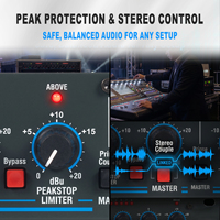 Compresseur/Limiteur Audio Professionnel 166XL, Réducteur de Bruit, Double Canal, Montage en Rack, Processeur Audio, Construction Métallique, Utilisation Scénique, Alimentation CA