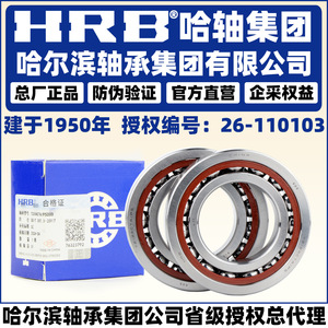 ตลับลูกปืนเม็ดกลมสัมผัสเชิงมุม Hrb รุ่น 7207 7208 7209 7210 P5 แถวเดียว แบบจับคู่ Db Df Dt - Product Image 2