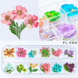 Adornos artísticos para <span class=keywords><strong>uñas</strong></span>, <span class=keywords><strong>flores</strong></span> secas, prensadas, suministros para <span class=keywords><strong>uñas</strong></span> al por mayor - Product Image 4