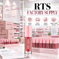 Huile à lèvres repulpante RTS 6ml, hydratante, brillance intense, gloss teinté, faible MOQ 2 pièces, vente en gros, logo personnalisé